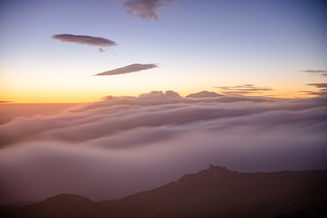 Fototapeta na wymiar Santa Barbara Mountains, Summit, Fog
