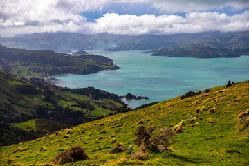 unique, idyllic landscape of banks peninsula near christchurch in canterbury, new zealand; grass covered mountains surrounded with turquoise ocean