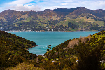 Obraz premium unique, idyllic landscape of banks peninsula near christchurch in canterbury, new zealand; grass covered mountains surrounded with turquoise ocean