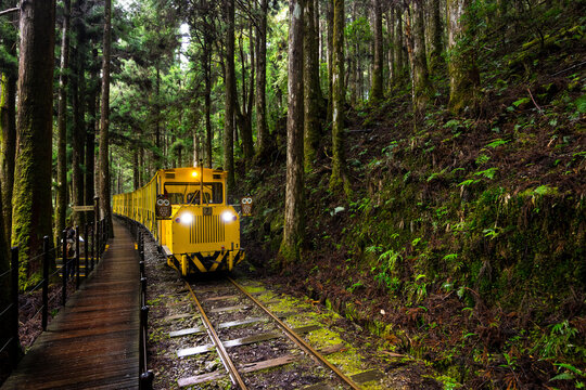 Yellow Colored Bong Bong Train in Taipingshan National Forest Recreation Area at Yilan