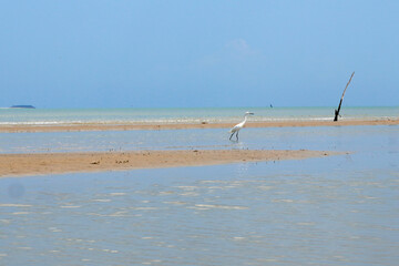 View of a sandy beach during the day with a blue sky background. clear sea water. vintage color beach
