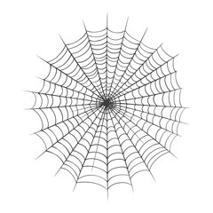Fototapeta premium Spider web isolated on white background. Vector illustration