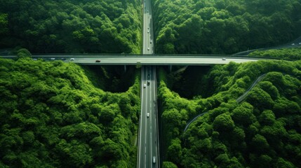 Green ecosystem above the tunnel highway