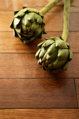 artichoke, camus de Bretagne,