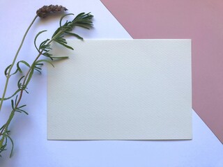 Elegant Pink White Watercolor Paper Template With Flowers