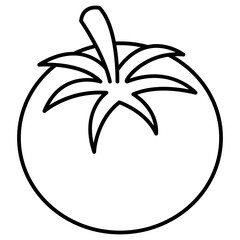 illustration of tomato
