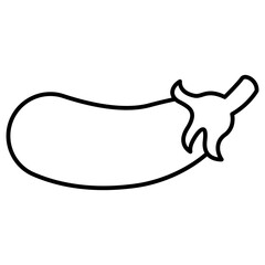 illustration of eggplant vegetable