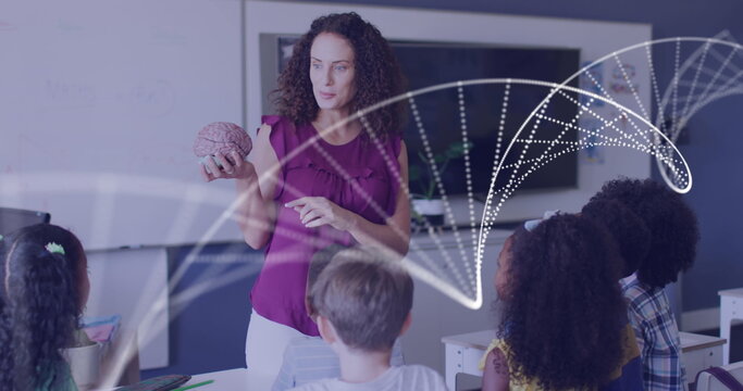 Image of dna strand over happy diverse female teacher with model brain and pupils in class