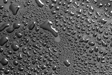 Water drops on a black background. Texture