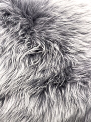 Gray fur as an abstract background. Texture