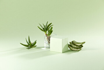 A light green square podium against light green background. With slice aloe. An empty platform for...
