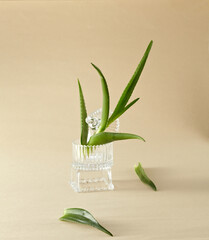 A Aloe in a clear glass against light beige background. An empty space for display cosmetic products, food and props.