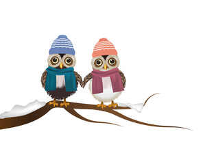 Couple of owls with scarf and hat holding hands, vector