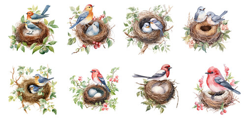 set of watercolor birds, Sticker, Ornament, illustration, PNG; generated ai - obrazy, fototapety, plakaty