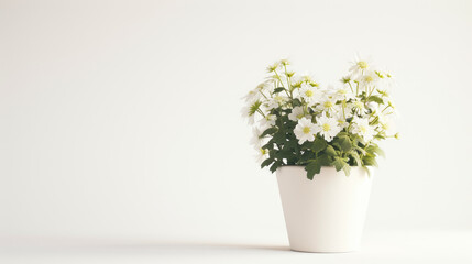 Naklejka na ściany i meble minimalist flower pot decoration, white background, Ai Generated Images