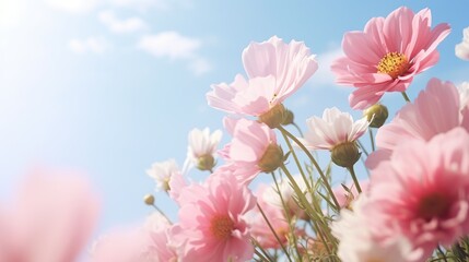 Beautiful spring flowers with smooth bokeh clouds and sunshine background. Generative AI