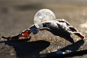 Frozen bubble in nature. A beautiful macro shot of nature in winter. Concept for environment, water and frost.