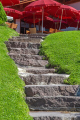 Stone stairs in the garden