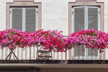 Balcony decorated with pink and red petunias
