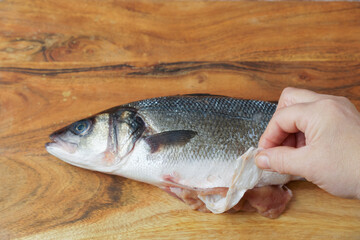 woman removing a piece of plastic from the belly of a seabass on a wooden table, concept of plastic pollution in the sea