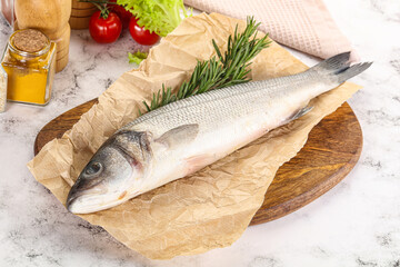 Raw seabass fish for cooking