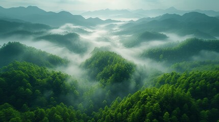 Obraz premium Foggy misty forest landscape in the morning. 3d rendering - Generative AI