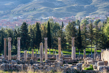 Roman columns in the ancient Roman town of Djemila, Setif, Algeria.