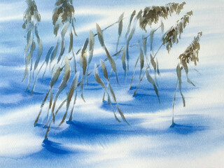 Dry grass in winter on snow shadows watercolor background - 726955518