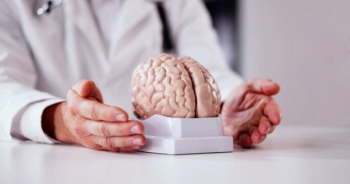 Doctor Holding Cognitive Rehabilitation, Dementia