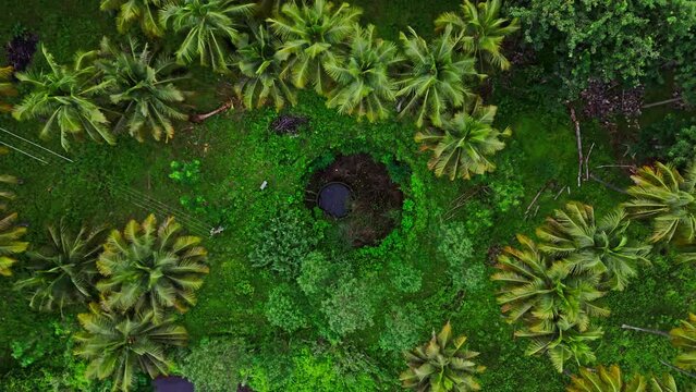  Zoom out shot of a water filled pothole with coconut trees surrounding it during daytime in Tamil Nadu, India. Aerial view.
