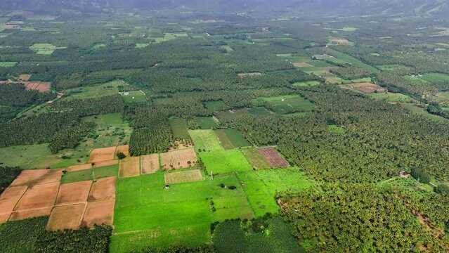 Top view of green fields with trees and shrubs with hills at background in Theni, Tamil Nadu.