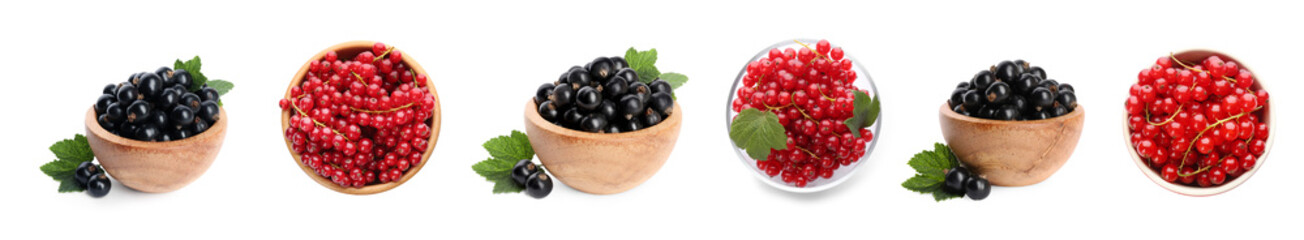 Fresh red and black currants on white background, collection