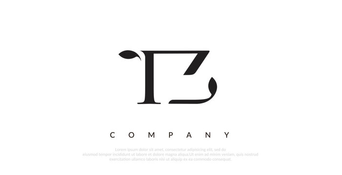 Initial TZ Logo Design Vector 