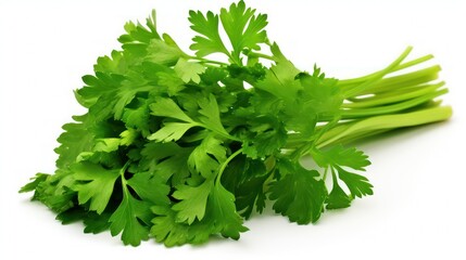 bunch of parsley isolated on white background