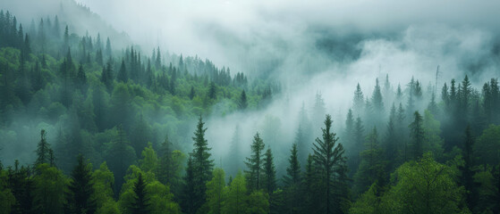 Misty mountain forest in ethereal morning light.
