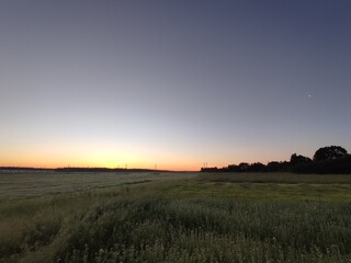 beautiful sunrise on an early summer morning in a green field against a clear sky