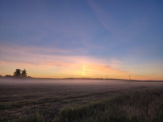 Sunrise at dawn early in the morning in a field covered with fog against a beautiful sky