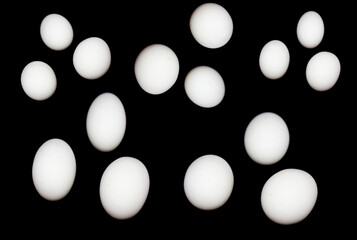 Eggs image with selective focus