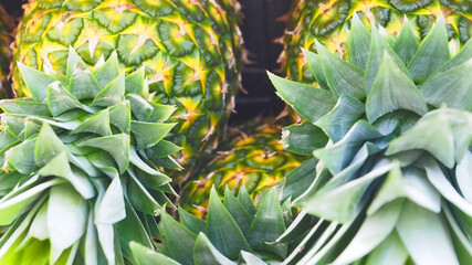 Obraz premium Group of whole ripe pineapples on a wooden shelf