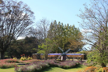 秋の兵庫県立フラワーセンター(兵庫県加西市)の風車と花壇