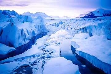 Foto op Aluminium Banquise, iceberg et glace fondant en antarctique © Concept Photo Studio