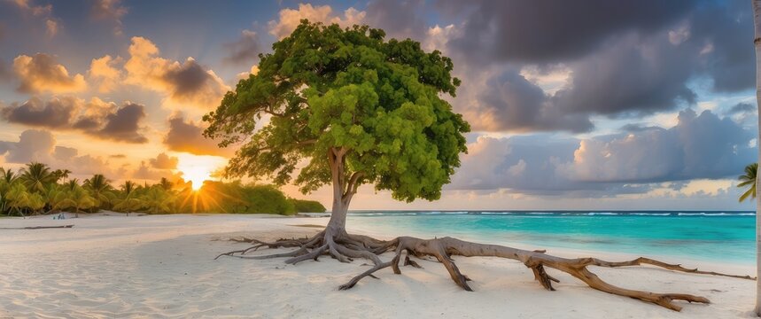 tropical beach, palm tree, sea, coast, sand, wedding backdrop, photography backdrop, maternity backdrop