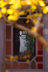 Chinese Ancient Architecture and Winter Plum Blossoms