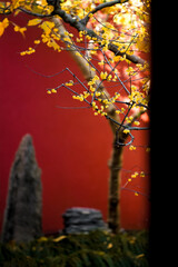 Chinese Ancient Architecture and Winter Plum Blossoms