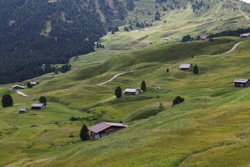 Fototapeta na wymiar Panorama from Seceda and Col Raiser in Val Gardena, Groden, Trentino Alto Adige, Dolomites Alps, South Tyrol, Italy
