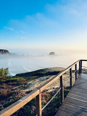 Fototapeta premium Fog at the ocean coast, ocean bay in the fog, impressive view