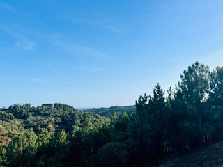 Fototapeta na wymiar Green trees in the mountains, mountains view, blue sky