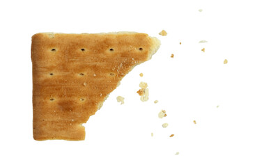 tasty cookie with crumbs isolated