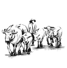 Drawing of Vietnamese woman with her buffalos.