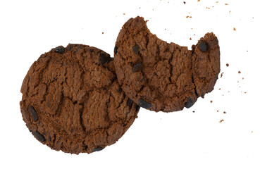 tasty of bit chocolate cookies isolated